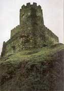 Castelo de Doiras  (Gua da Galiza Mxica)