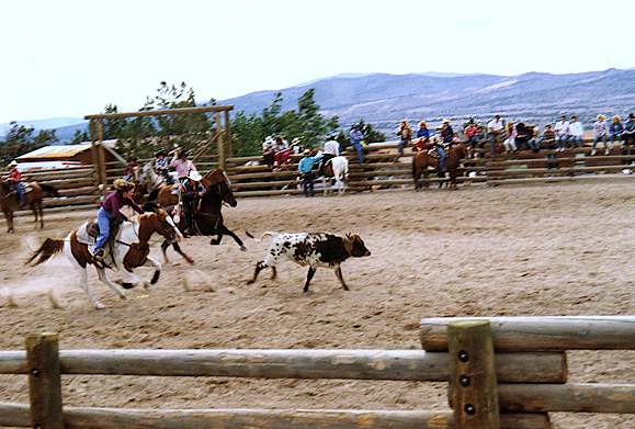 The rodeo at Spanish Springs
