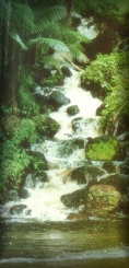 Cachoeira comum no interior do Amap