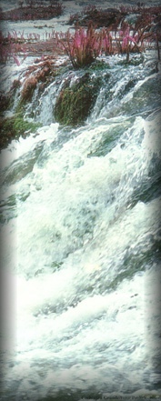 Cachoeira Grande - Foto Paulo Uchoa