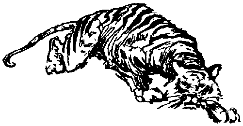  [ Go the Tigers! ] 