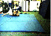 Shootfighting free sparr ISFA