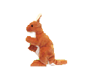 [moving kangaroo separator]