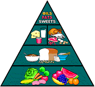 New Modified Food Pyramid