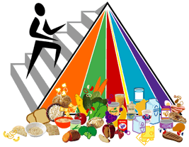 New 2004 USDA Food Pyramid