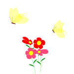 butrfly.gif (10979 bytes)