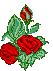 redrozrt.gif (3240 bytes)