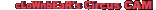 cccam.gif (5627 bytes)