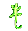 Fred, my gecko