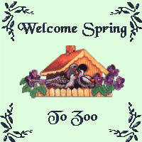 Welcome to Spring!