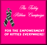Tabby Ribbon Campaign