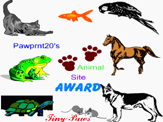 Animal