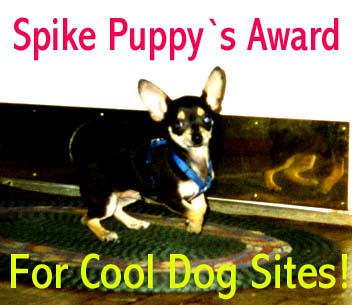 Spike's Award