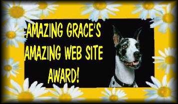 Graci'e Award