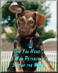 Petsburgh Site of the Week