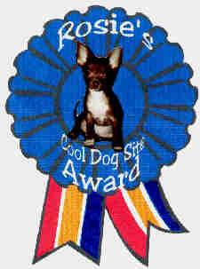 The Rosie's  Award