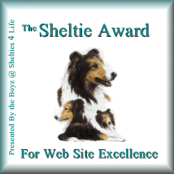 The Boyz Award