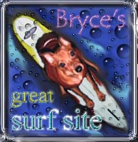 Great Surfin Award!
