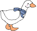 goose