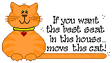 catseat
