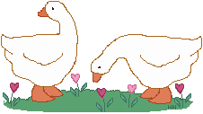 goose