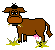 cow