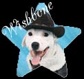 Wishbone Jones