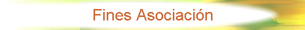 Fines Asociaci�n