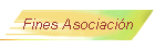 Fines Asociaci�n