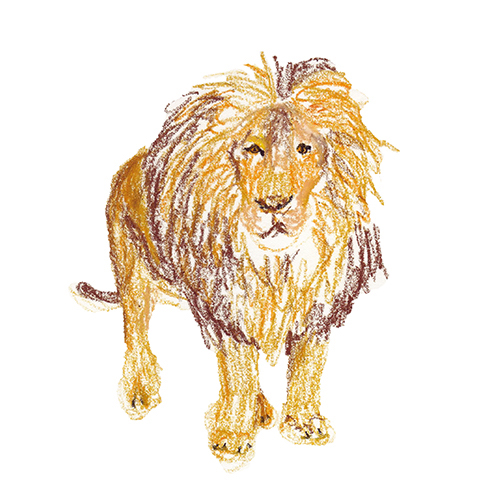 Lion illustration in pastel