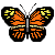 butterfly I like it