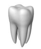 Dental care. Funkce a estetika zubů.