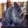 KLICK, f�r gro�es Bild!