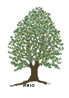 RootsWeb Family Tree
