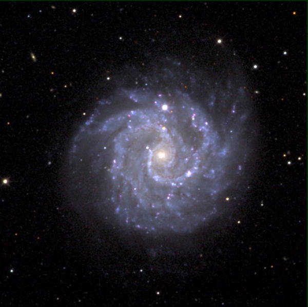 Supernova NGC3184