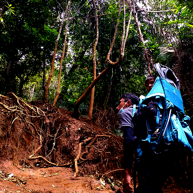 Mount Burangrang