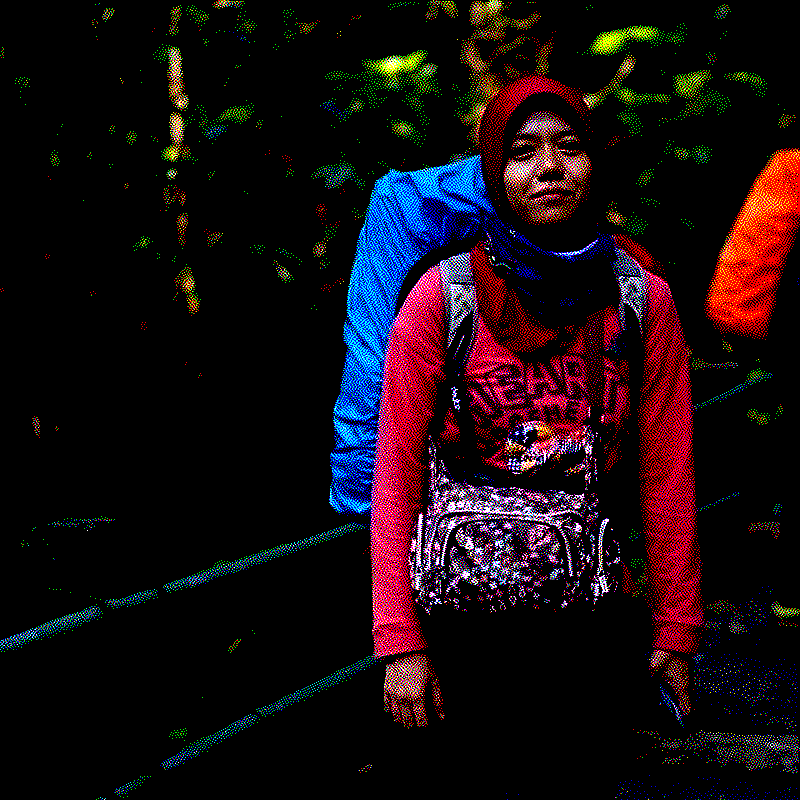 Mount Gede