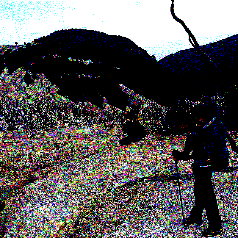Mount Papandayan