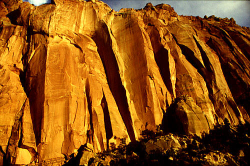 Capitol Reef National Park, Utah is just one of many USA motifs available here at STAR SHOP AMERICA ! - Visit a large collection of T-Shirts, Sweat-Shirts, Coffee Cups, Mugs, Posters, Postcards, Greeting Cards, Stamps, Buttons, Stickers, Journals, Mousepads, Caps, Infant Wear, Tile Boxes & much more ! - We have all kinds of items in store with themes from the American West, from the Rocky Mountains States and their famous National Parks as well as other US regions !