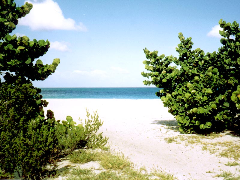 Aruba