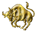 Taurus