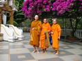 MONKS IN CHIANG MAI