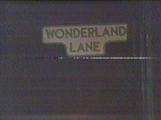 Wonderland Lane