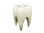 Zahnmedizinische verfahren ohne die schmerz. Dental care.