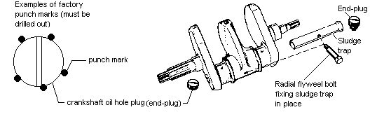 Make a free allen wrench to unscrew a crankcase plug. 