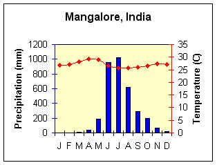 what is precipitation percentage in weather