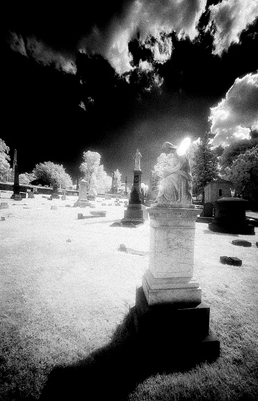 Laurel Hill Cemetery - by chuckv