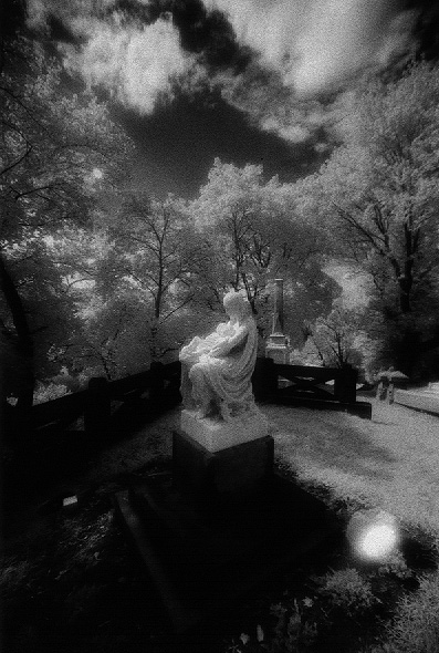 Laurel Hill Cemetery - by chuckv