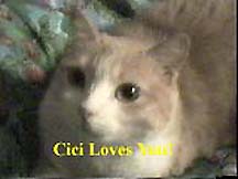 Cici loves you!