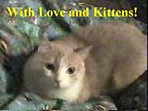 Love and Kittens